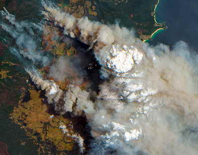 Спокойствие доллара и рост бесстрашие акций